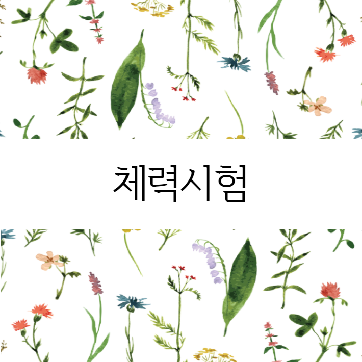  체력검사