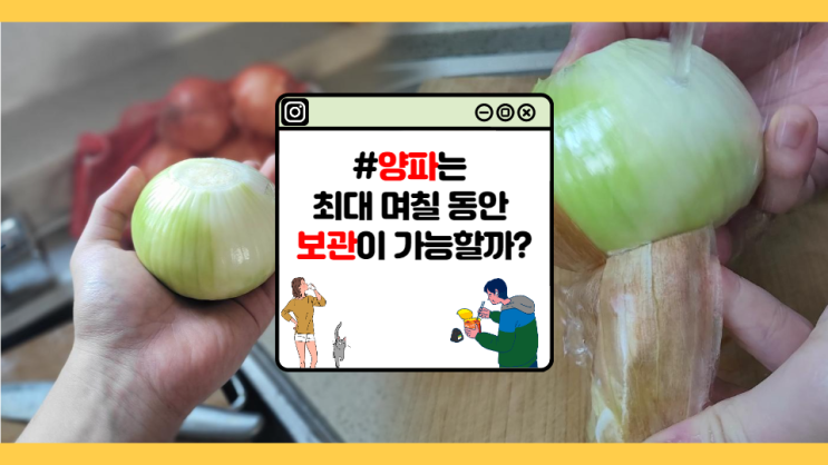  [자취초년생] 깐 양파 보관방법 및 보관 기간 (feat. 냉동)