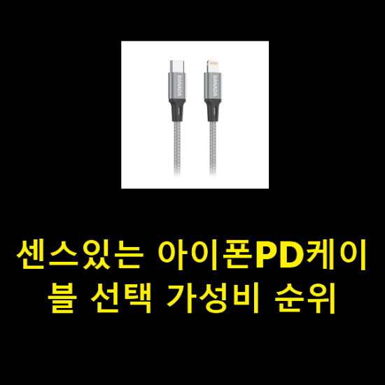 센스있는 아이폰PD케이블 선택 가성비 순위