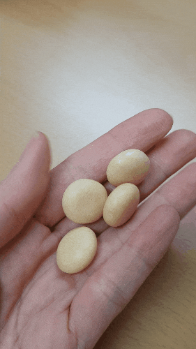  멘토스 콜라 맛 아이들 간식 추천