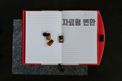  숫자와 문자열 자료형 변환
