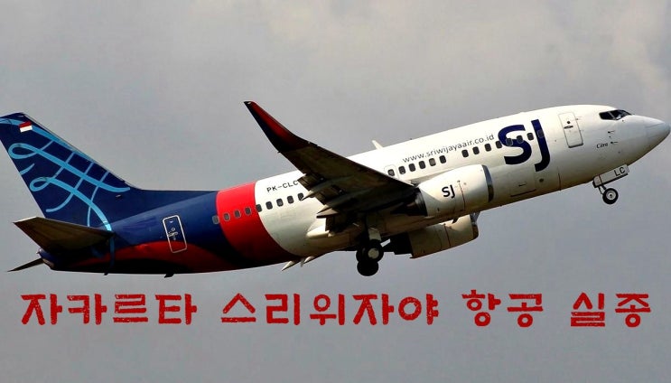  인도네시아 자카르타 스리위자야 항공 천개의섬 인근 실종(추락추정)