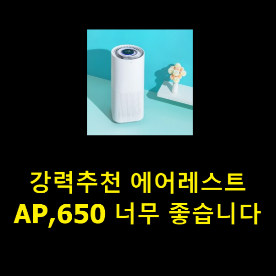 강력추천 에어레스트AP,650 너무 좋습니다 강력추천 에어레스트AP,650 너무 좋습니다
