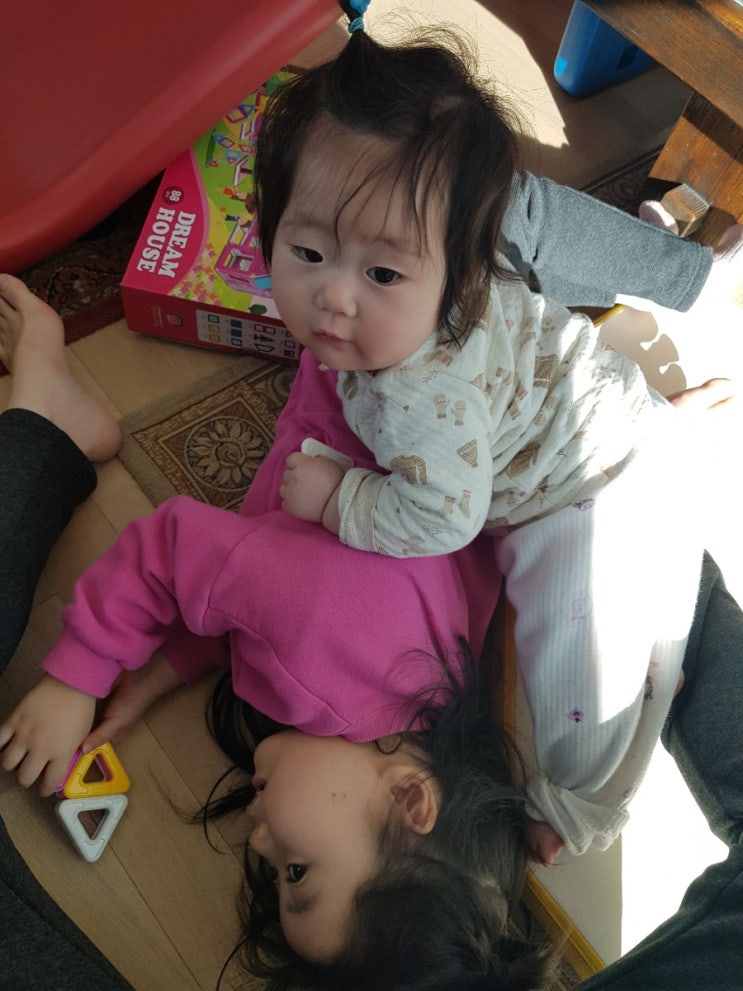  (둘째 육아 체험기) 첫째 둘째의 엄마 쟁탈전. 영역싸움의 신세계 그러나 너희는 결국 좋은 친구가 될거야. (feat. 피곤하다).