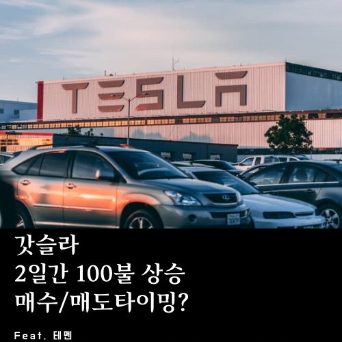  테슬라 주가 폭등 (수익률55%)