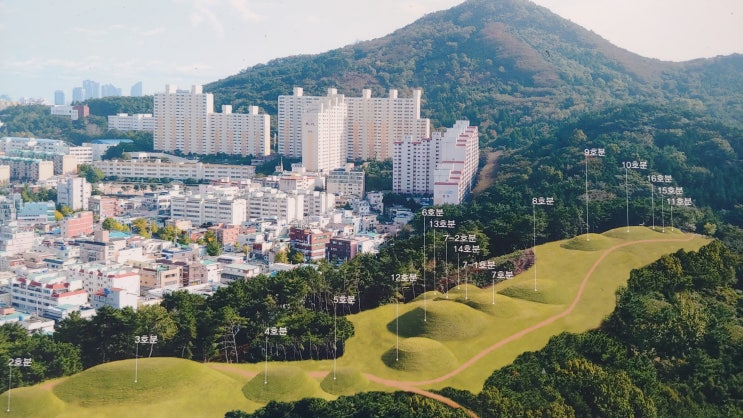 [부산 연제] 배산숲길, 그곳에서 만난 고분군