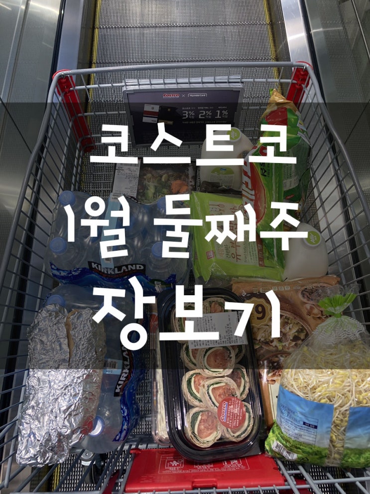  코스트코 1월 둘째주 장보기