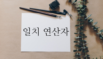  일치 연산자