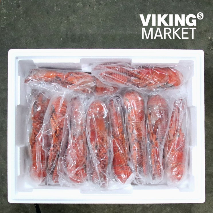 의외로 인기있는 질소냉동! 특 자숙랍스터 (10마리), BOX, 350-400g (10미) 추천해요 의외로 인기있는 질소냉동! 특 자숙랍스터 (10마리), BOX, 350-400g (10미) 추천해요