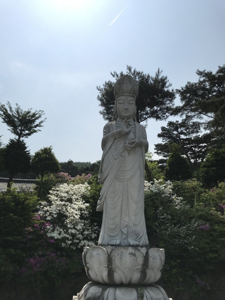  누구나 나를 좋아하게 만드는 법이란 책 소개