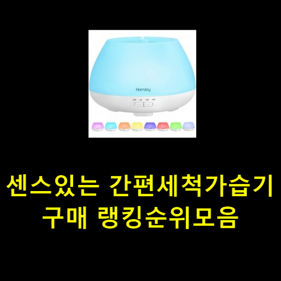 센스있는 간편세척가습기 구매 랭킹순위모음 센스있는 간편세척가습기 구매 랭킹순위모음