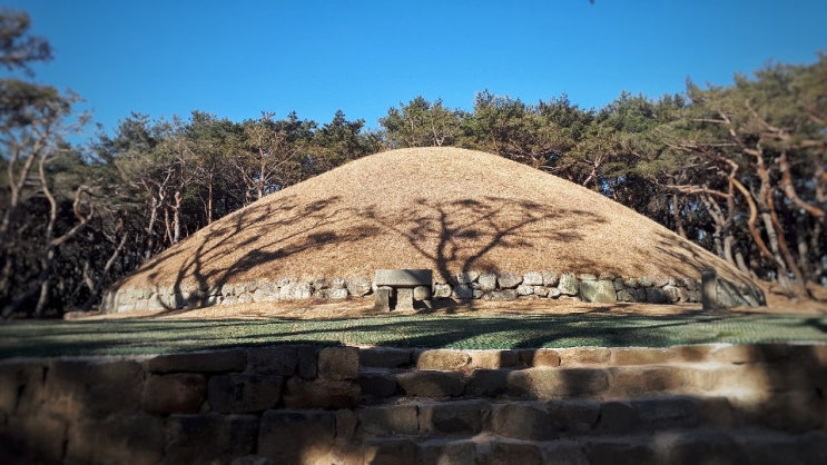 경주 역사 여행지 선덕여왕릉