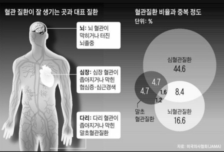 [가든네이처]건강관리의 시작은 혈관관리! 혈관을 청소하는 맥파워Q