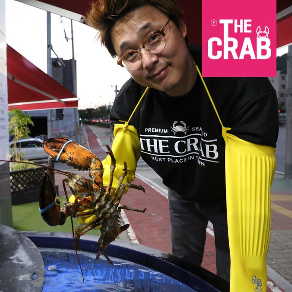 리뷰가 좋은 더꽃게 캐나다 활 랍스타, 1마리, 700g (650-750g) ··· 리뷰가 좋은 더꽃게 캐나다 활 랍스타, 1마리, 700g (650-750g) ···
