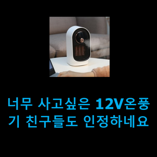 너무 사고싶은 12V온풍기 친구들도 인정하네요