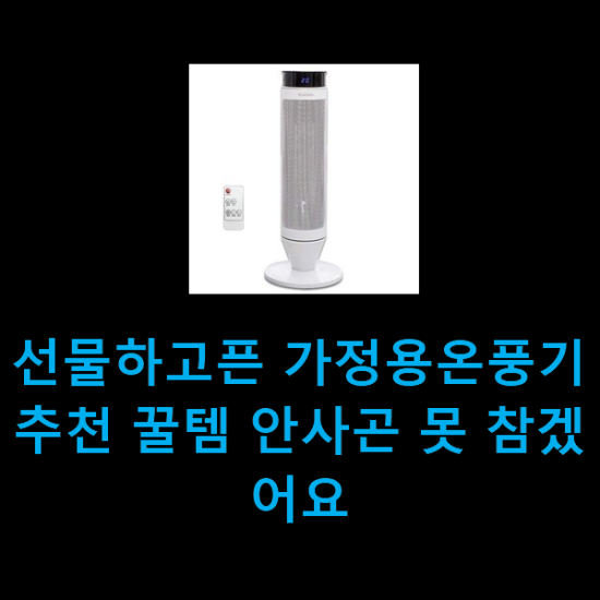 선물하고픈 가정용온풍기추천 꿀템 안사곤 못 참겠어요 선물하고픈 가정용온풍기추천 꿀템 안사곤 못 참겠어요