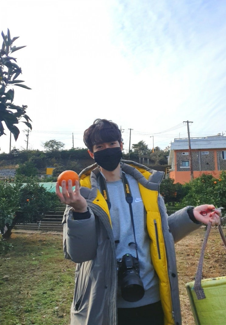  [내돈여행]제주도신혼여행②일차-무무제주, 귤따기체험, 큰집어멍