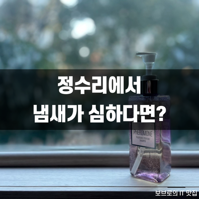  정수리냄새 샴푸, 원인을 알고 해결하자ㅣ향 오래가는 샴푸ㅣ선물하기 좋은 샴푸