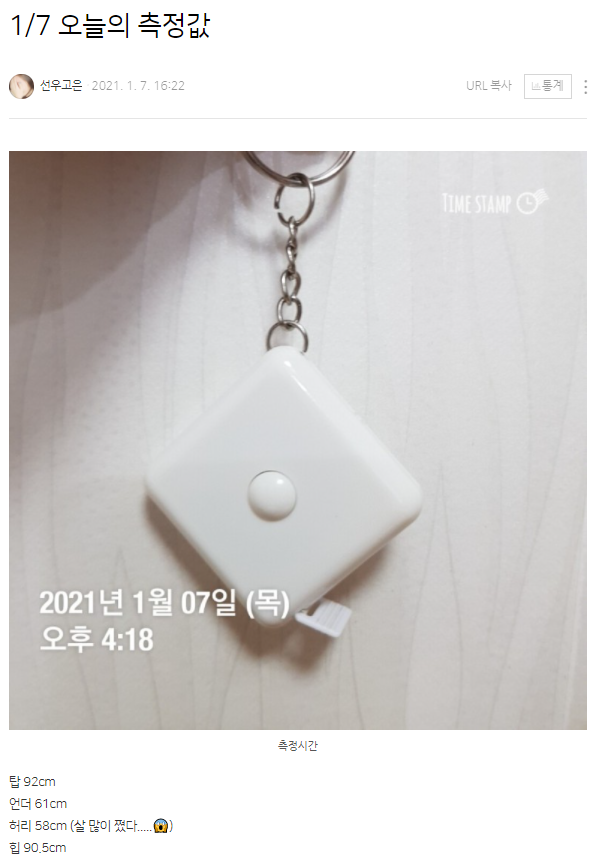 지금까지의 바스트사이즈 변화 (75B컵→55N컵 :: 12컵 UP / 1년만에 줄자로 잰 탑 14cm 증가, 언더 9cm 감소 ...