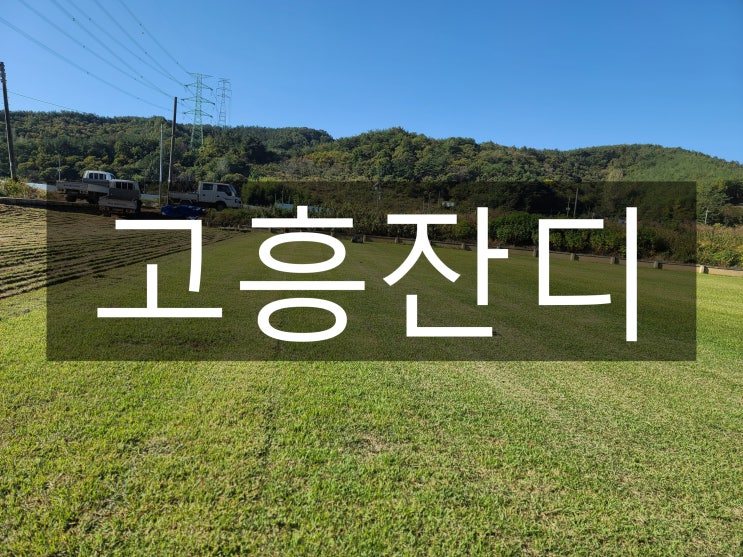 국토 최남단 멋과 맛의 고장 고흥 잔디 배송