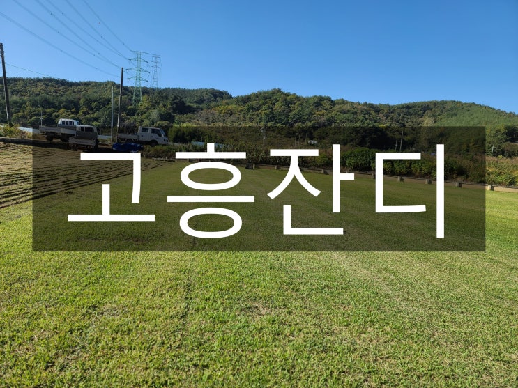  국토 최남단 멋과 맛의 고장 고흥 잔디 배송