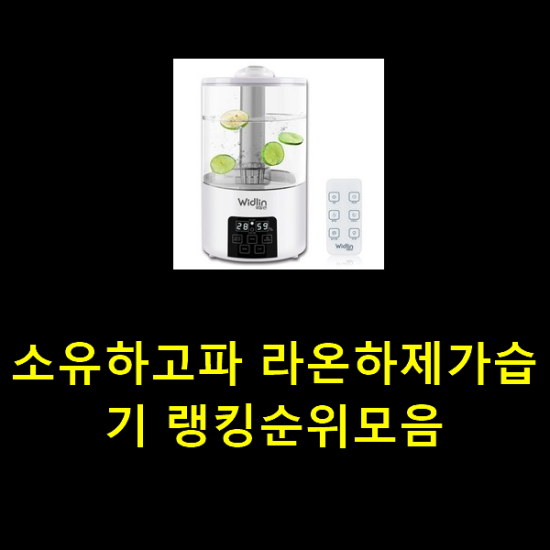 소유하고파 라온하제가습기 랭킹순위모음 소유하고파 라온하제가습기 랭킹순위모음