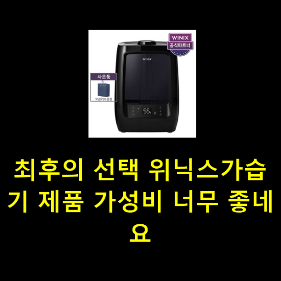 최후의 선택 위닉스가습기 제품 가성비 너무 좋네요 최후의 선택 위닉스가습기 제품 가성비 너무 좋네요