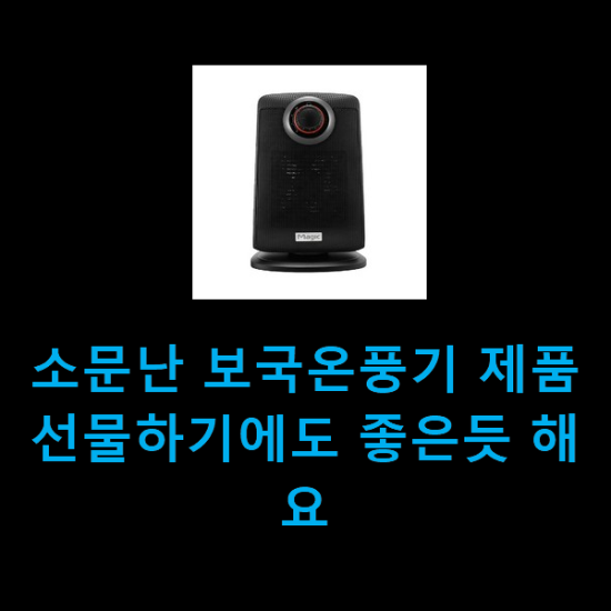 소문난 보국온풍기 제품 선물하기에도 좋은듯 해요 소문난 보국온풍기 제품 선물하기에도 좋은듯 해요