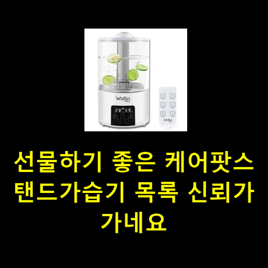 선물하기 좋은 케어팟스탠드가습기 목록 신뢰가 가네요 선물하기 좋은 케어팟스탠드가습기 목록 신뢰가 가네요