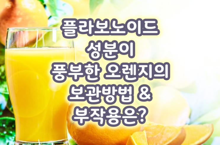  플라보노이드 성분이 풍부한 오렌지의 보관방법 & 부작용은?