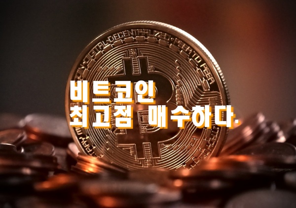  비트코인 최고점 매수하다.