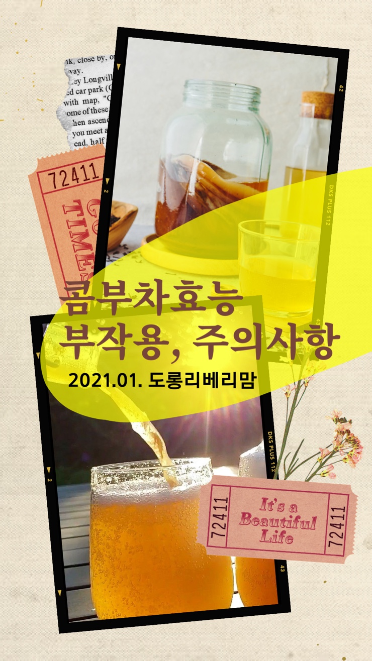  콤부차 효능 포브스가 선택한 발효 탄산음료