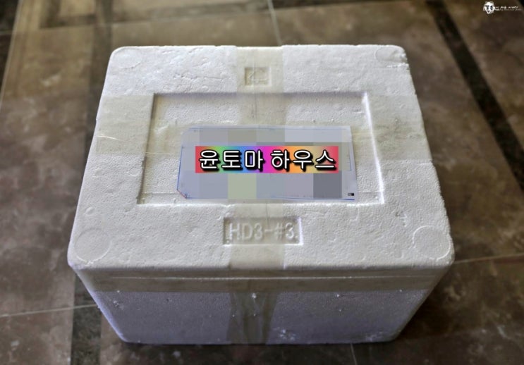 블로그 서로이웃- 윤토마 하우스의 수제 먹거리 수제청 내돈내산