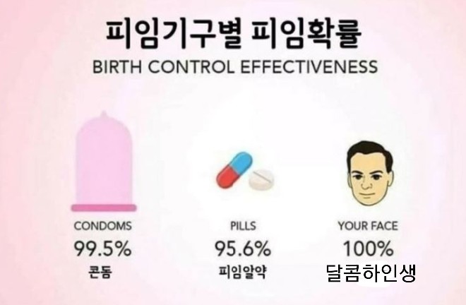 피임기구별 피임확률 피임기구별 피임확률