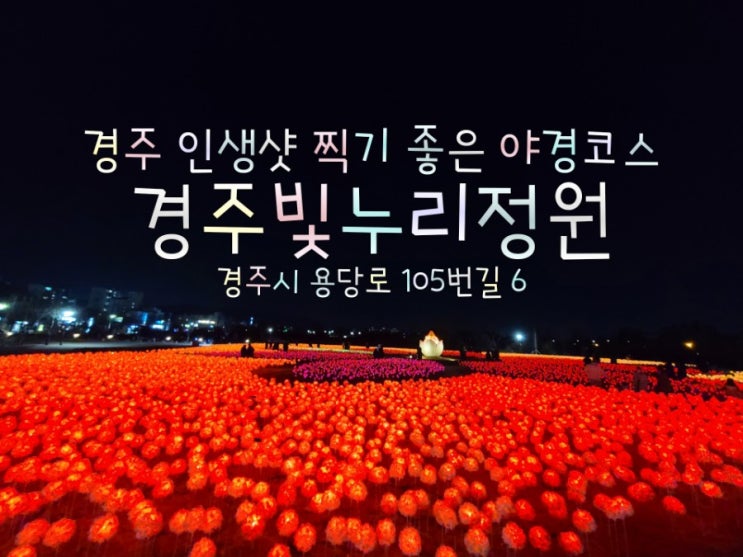  국내여행 경상도여행 데이트코스 경주가볼만한곳 야경맛집/빛누리정원에 26,185개의 LED 꽃송이가 피었습니다!