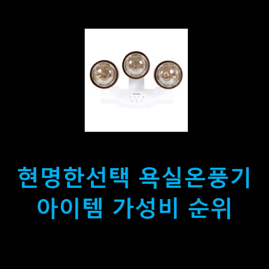 현명한선택 욕실온풍기 아이템 가성비 순위 현명한선택 욕실온풍기 아이템 가성비 순위