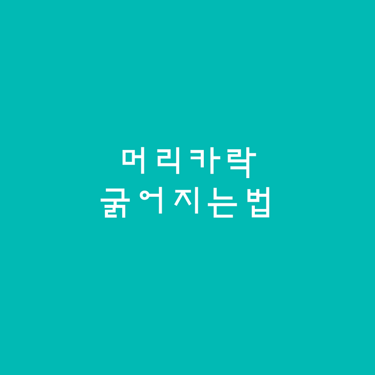  머리카락굵어지는법   "올큐어케라틴" 두피 사용방법