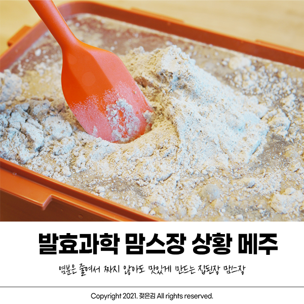 집된장만들기 발효과학 맘스장 상황 메주로 만드는 맛있는 된장 집된장만들기 발효과학 맘스장 상황 메주로 만드는 맛있는 된장