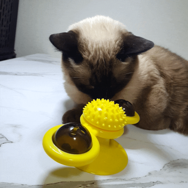  움직이는 고양이 장난감 냥냥펀치 볼 | 고양이 분리불안장난감
