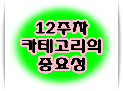  12주차 카테고리의 중요성