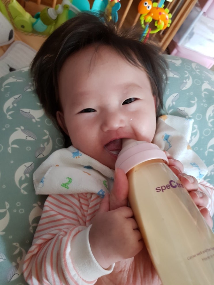  안 먹는 아기 뽐비 이제는 19개월 잘 먹는 아기뽐비