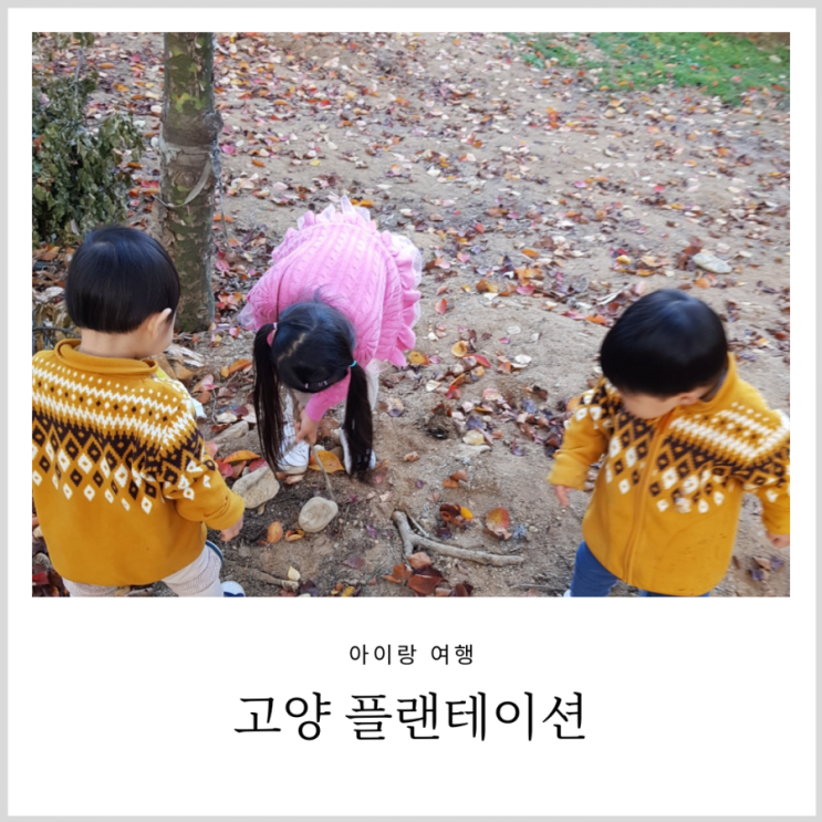 고양 플랜테이션 아기랑 숲놀이터 체험하기(입장료/feat.라라브레드) 고양 플랜테이션 아기랑 숲놀이터 체험하기(입장료/feat.라라브레드)
