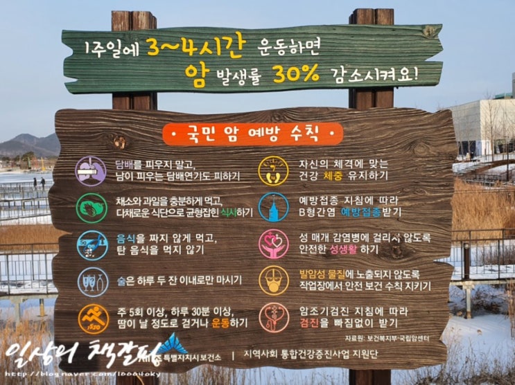  도심 속 여유로운 산책! 세종시 가볼만한 곳 <세종호수공원>