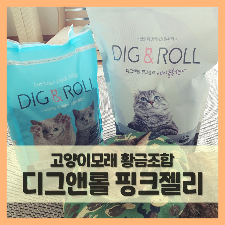  고양이모래추천 디그앤롤 벤토나이트 섞어 쓰니 원더풀하네!