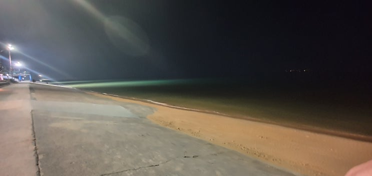  충청남도 보령 대천해수욕장 여행기 (feat. 갱스커피)