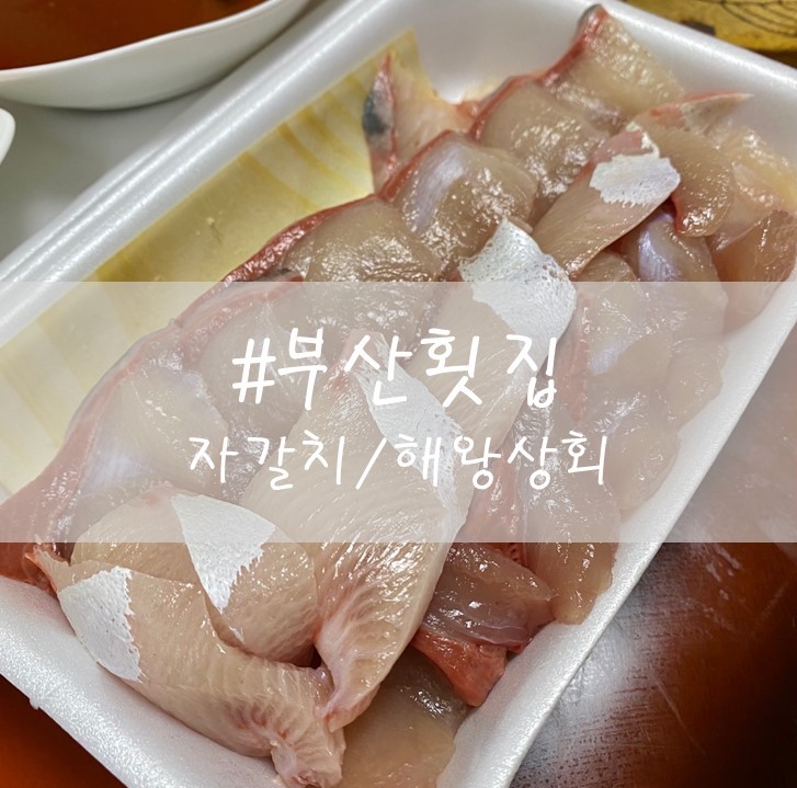  [부산] "자갈치횟집" / 방어회포장