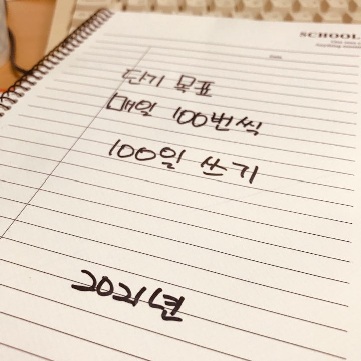 R=VD 꿈을 현실로 만드는 공식, 매일 100번씩 100일 쓰기 (2021년)