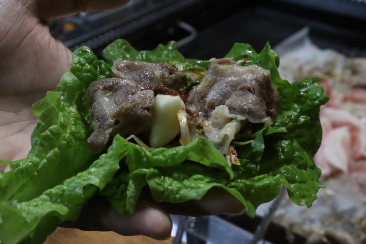  [제주맛집]첨먹어보는 오리고기 제주오리차돌맛집 신제주촌오리에서 먹어보기