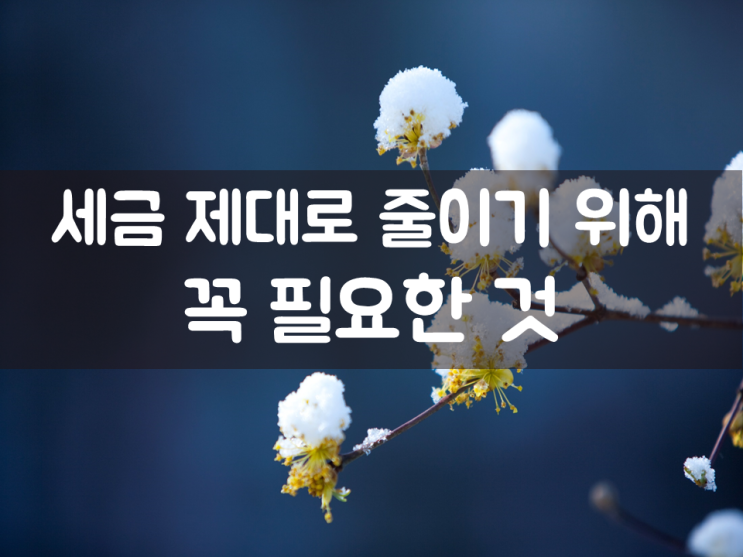  세금 제대로 줄이기 위해 꼭 필요한 것