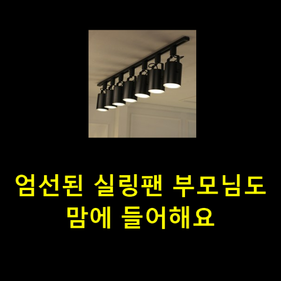 엄선된 실링팬 부모님도 맘에 들어해요 엄선된 실링팬 부모님도 맘에 들어해요
